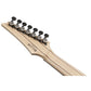 Ibanez / RGA217P1PB-DRL (Deep Twilight Burst Low Gloss) Ibanez Electric Guitar 7-string [80]