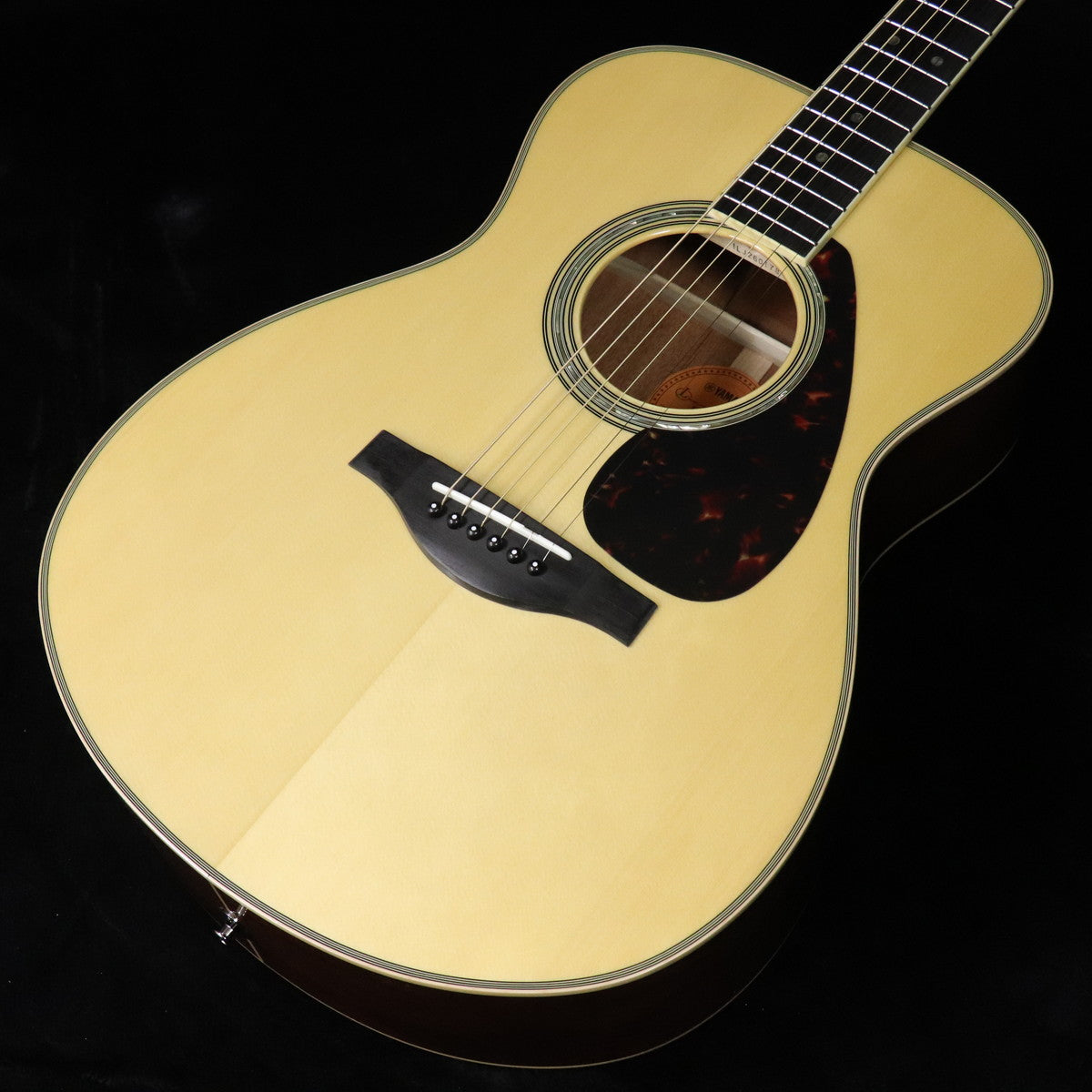 Electric Acoustic Guitar [Acoustic Guitar/Electric Acoustic Guitar › Electric Acoustic Guitar]