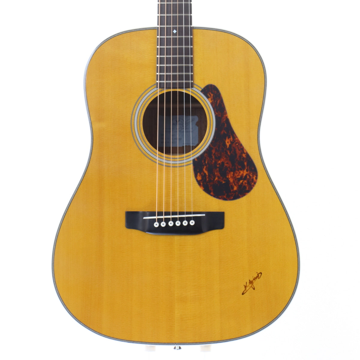 Steel guitar [acoustic guitar, electric acoustic guitar › steel guitar]