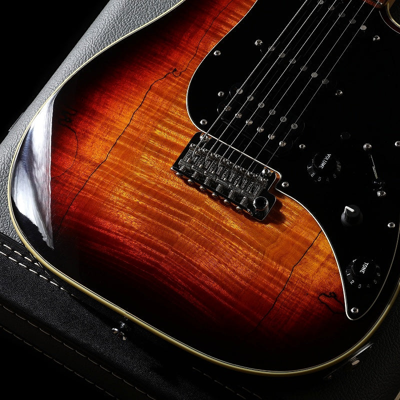 JAMES TYLER / Studio Elite HD Tobacco Sunburst – Ishibashi Music