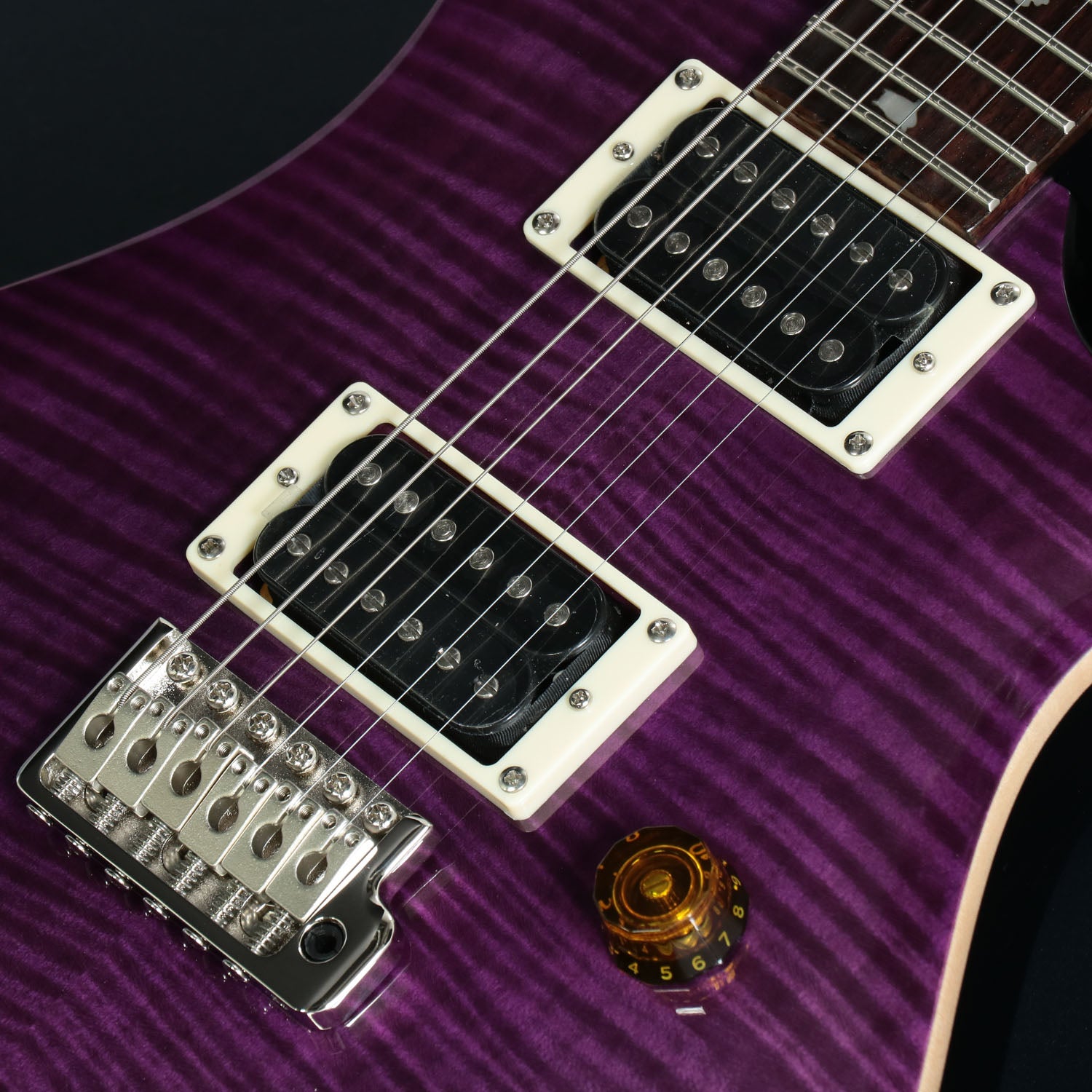 Paul Reed Smith (PRS) / SE Custom 24 Amethyst Black Back