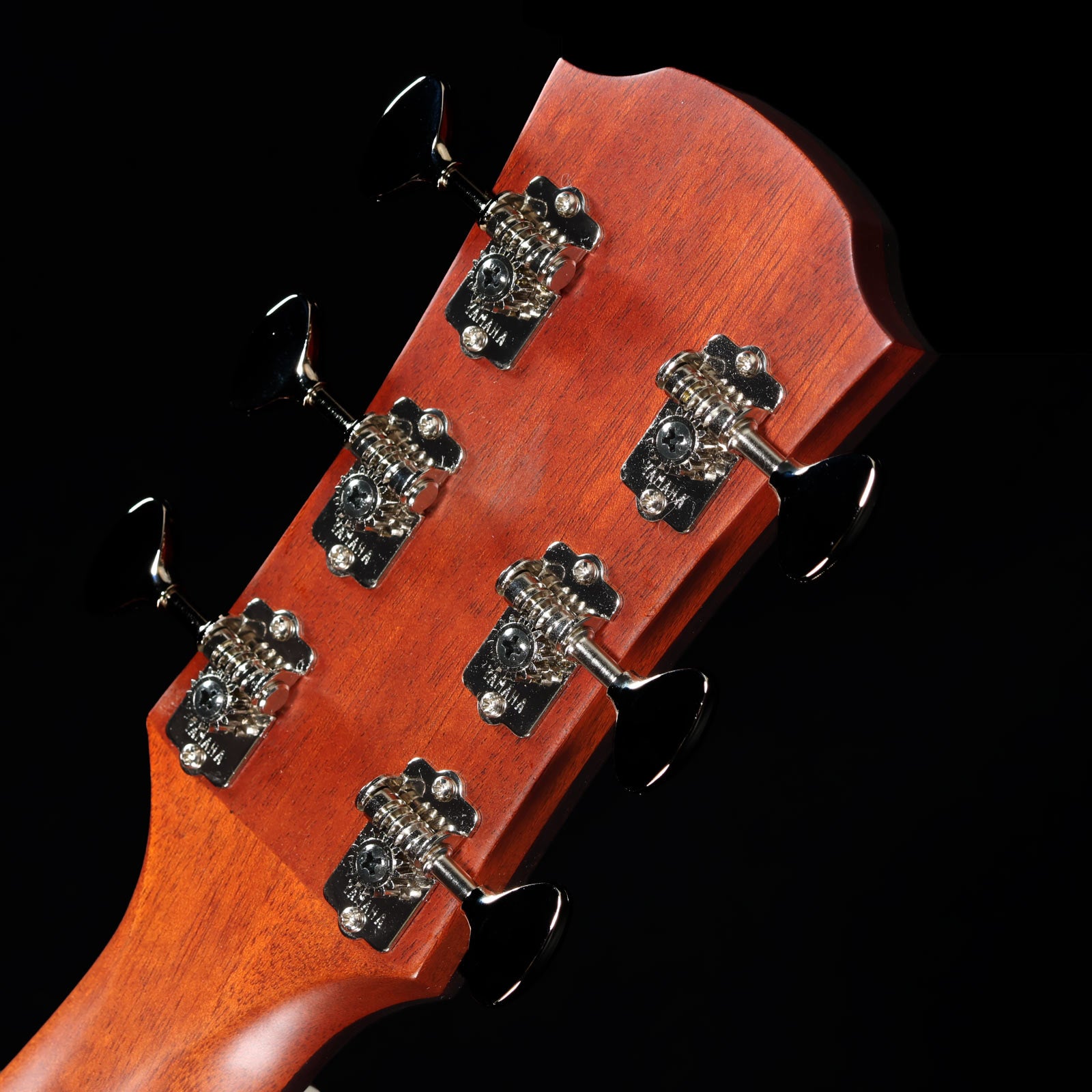 YAMAHA / AC5M ARE VN (Vintage Natural) (Display Model with Minor