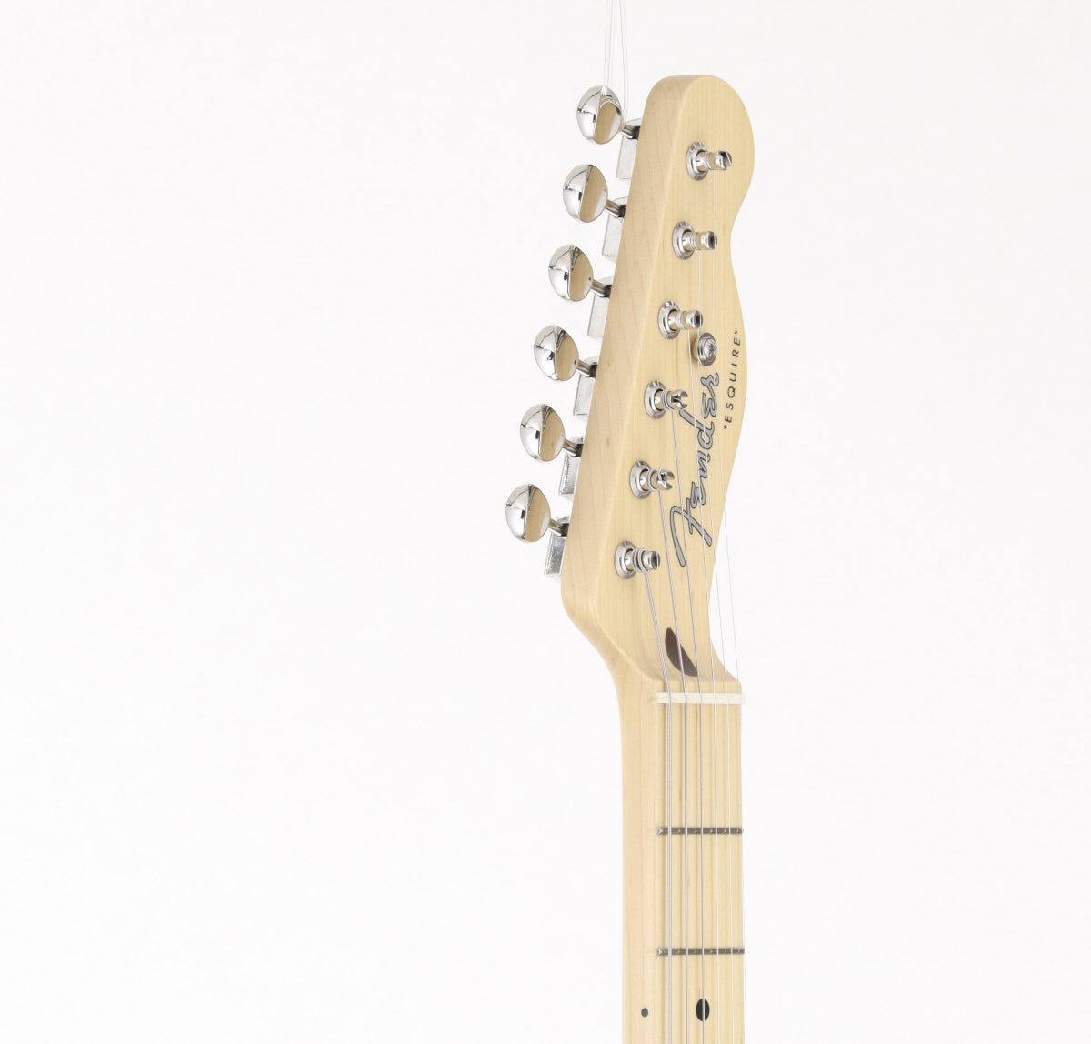 Fender / ART CANVAS ESQUIRE HIROSHI NAGAI No.1 Fender Hiroshi