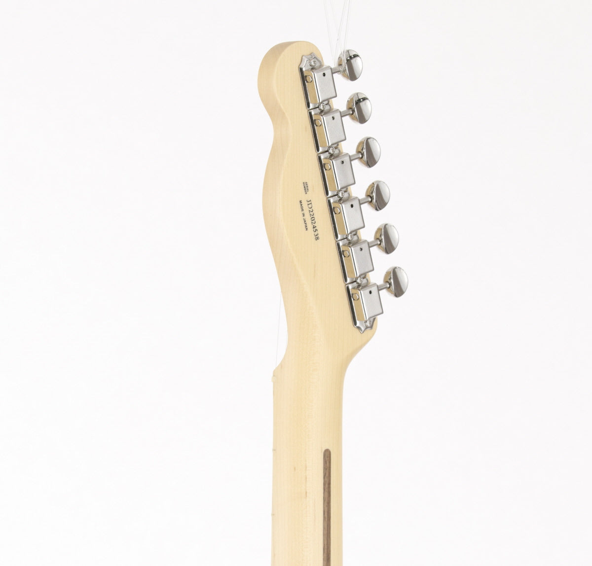 Fender / ART CANVAS ESQUIRE HIROSHI NAGAI No.1 Fender Hiroshi