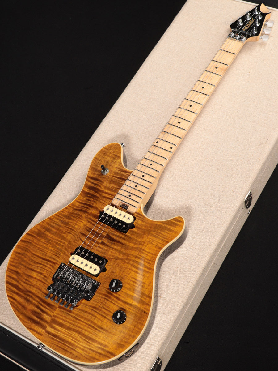 PEAVEY / HP2 TR Tiger Eye – Ishibashi Music Corporation.