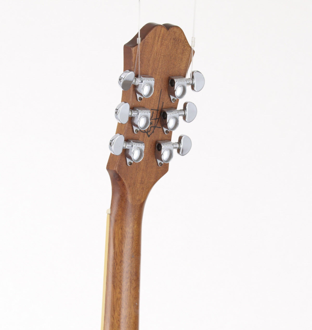 Epiphone / Tom DeLonge Signature ES-333 – Ishibashi Music Corporation.
