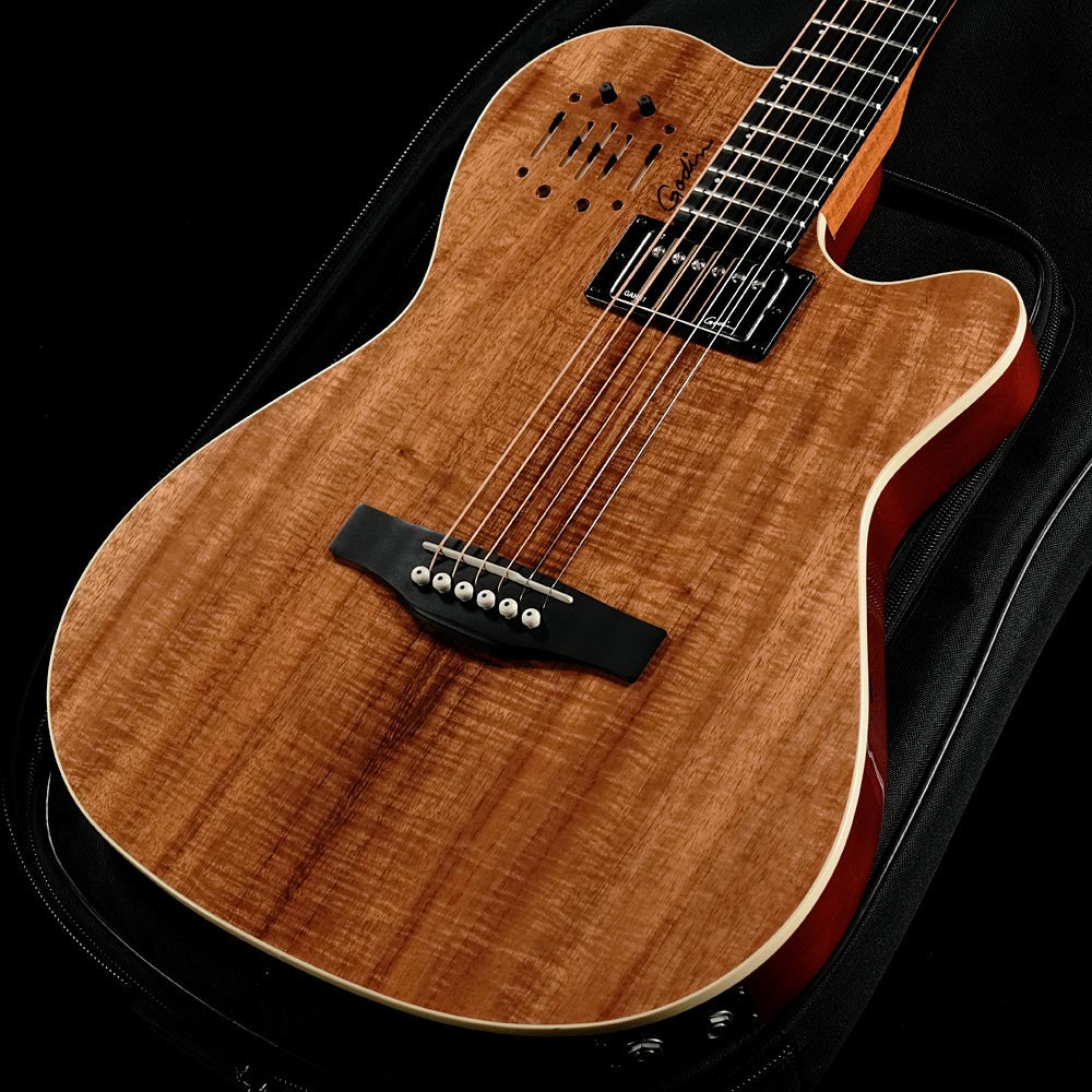 godin – Ishibashi Music Corporation.