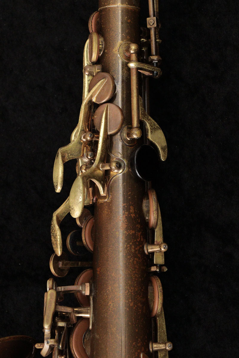 SELMER USA / Alto Model 162 Omega Alto Saxophone, Serial No