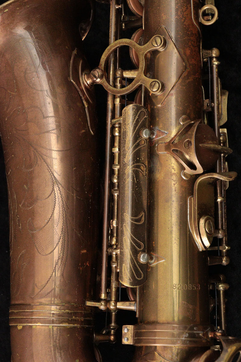 SELMER USA / Alto Model 162 Omega Alto Saxophone, Serial No