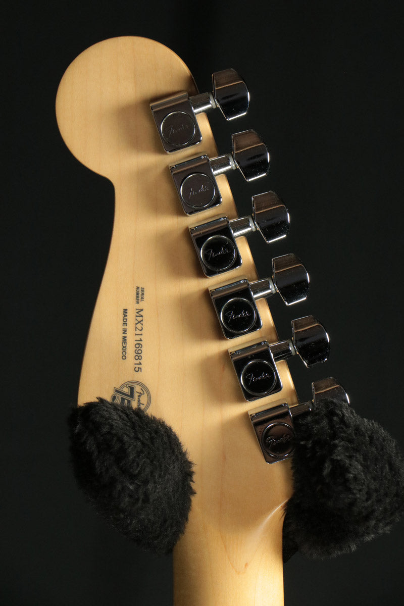 Fender Mexico / Limited Edition Player Jazzmaster Black with