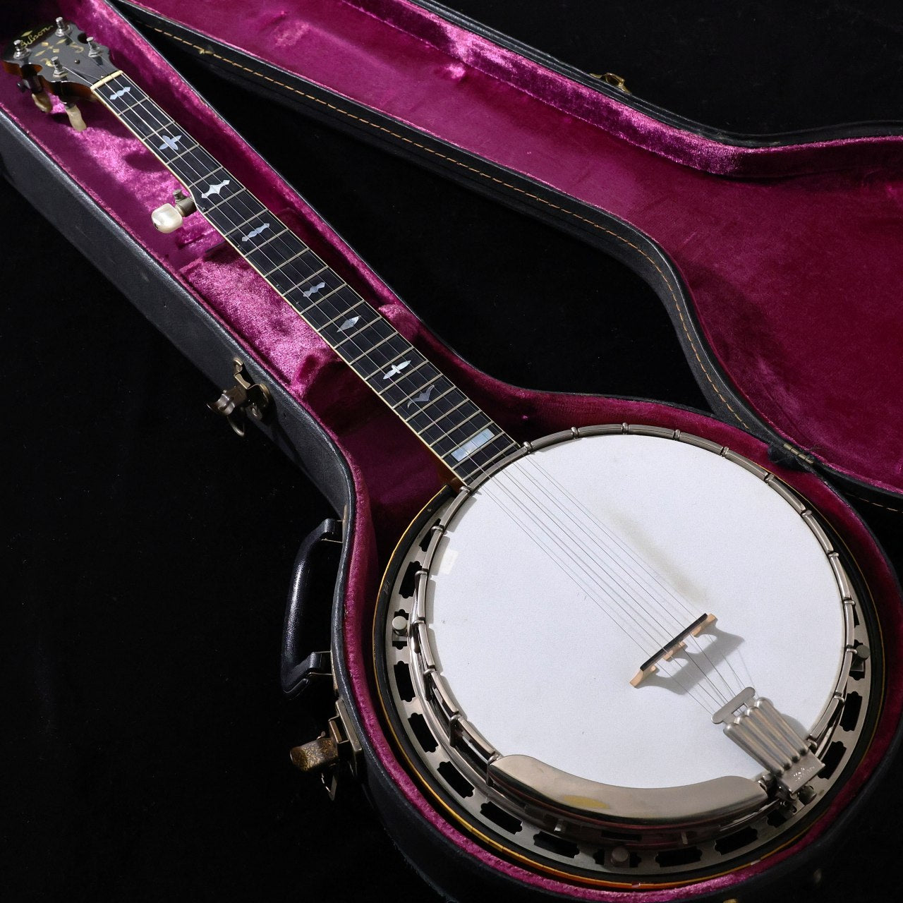 Banjo [acoustic and electric guitars › banjo]