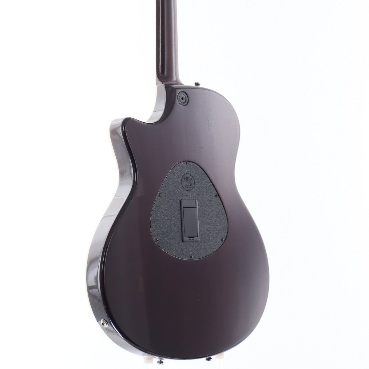 TAYLOR / T5-S1 Figured Maple Top – Ishibashi Music Corporation.