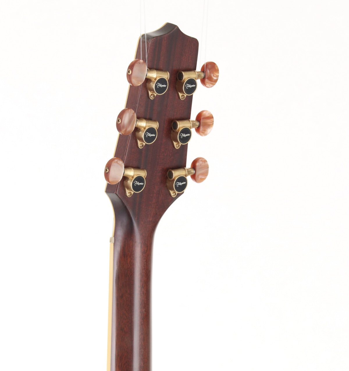 Takamine / TN-520BS Tsuyoshi Nagabuchi Model Tsuyoshi Nagabuchi
