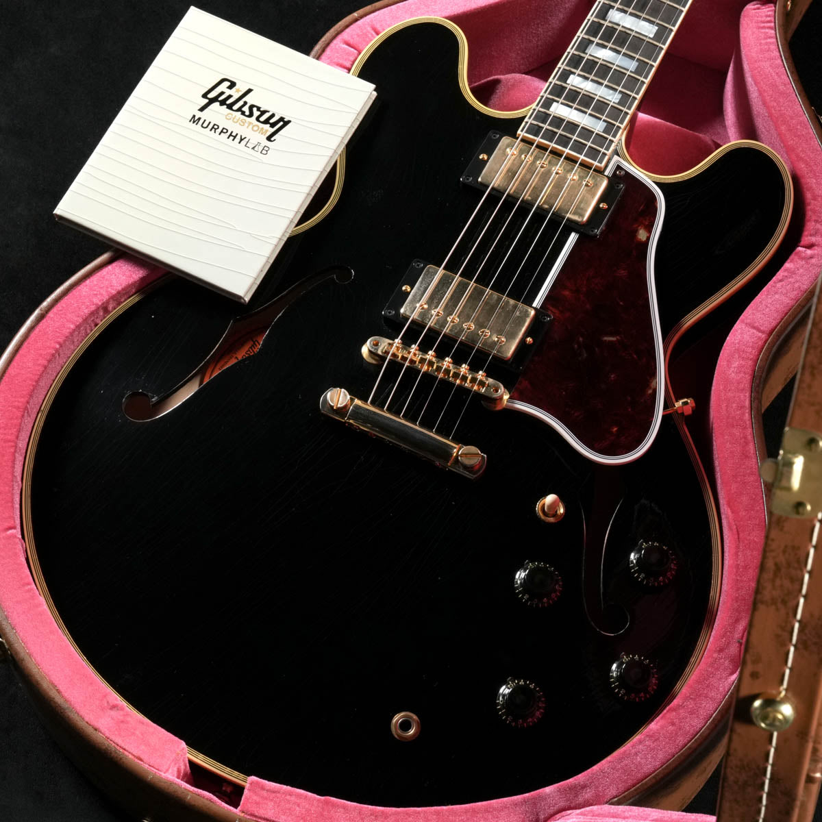 Semi-acoustic [Electric guitar › Semi-acoustic]