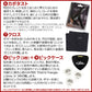 YAMAHA / LL16-12 ARE Natural (NT) Yamaha Acoustic Guitar LL1612 Acoustic Guitar 18-Piece Beginner Set R [80]