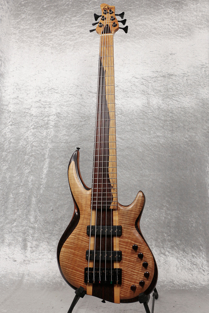 USED Wyn Guitars / 6st Flame Maple Top [06]