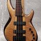USED Wyn Guitars / 6st Flame Maple Top [06]