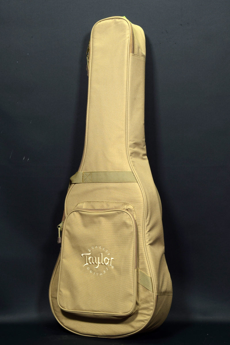 [SN 2103297353] USED Taylor Taylor / Academy 10 [20]