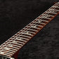 [SN 18 255167] USED Paul Reed Smith (PRS) / 2018 Custom 24 Angry Larry Pattern Regular Neck [03]
