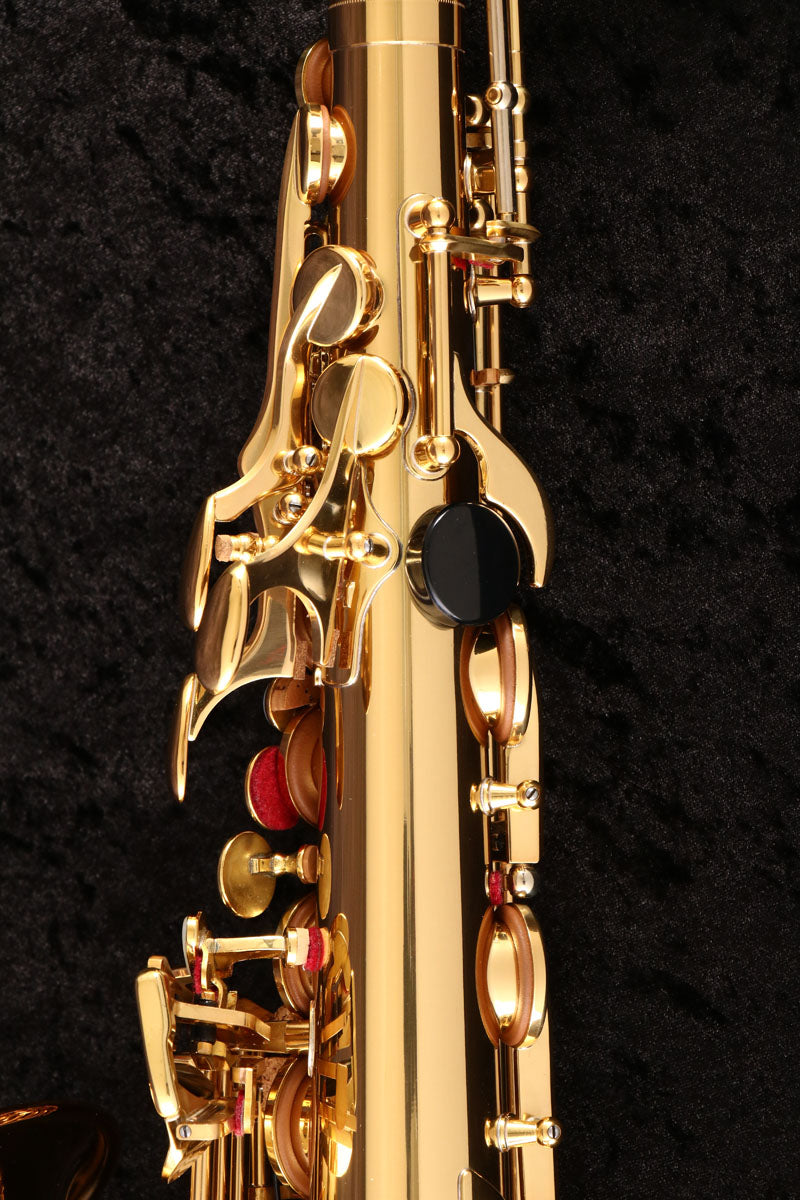 [SN C81321] USED YAMAHA Yamaha / Alto saxophone YAS-875EX G1 neck [03]